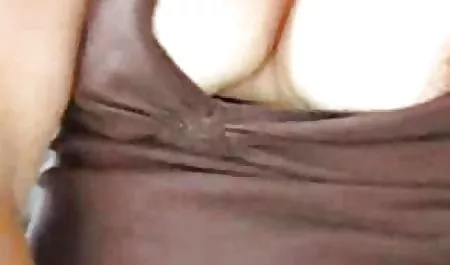 পরিণত সচিব in the service of the chief